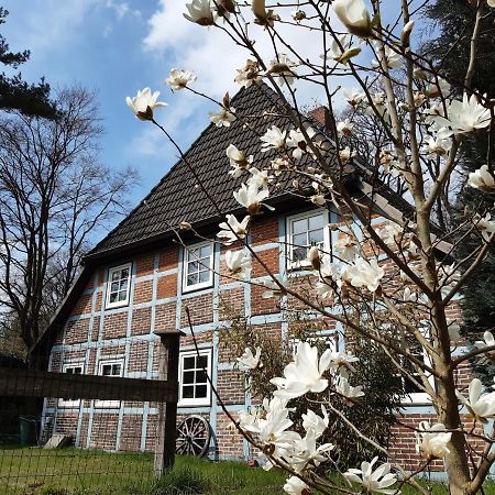 Schoenes Apartment Vor Den Toren Hamburgs - Keine Monteurwohnung Asendorf Esterno foto