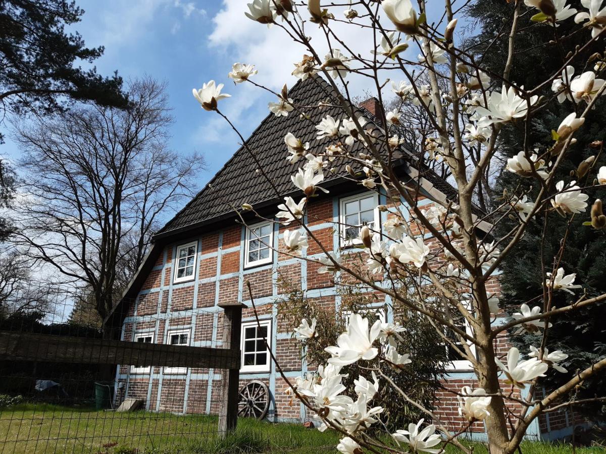 Schoenes Apartment Vor Den Toren Hamburgs - Keine Monteurwohnung Asendorf Esterno foto
